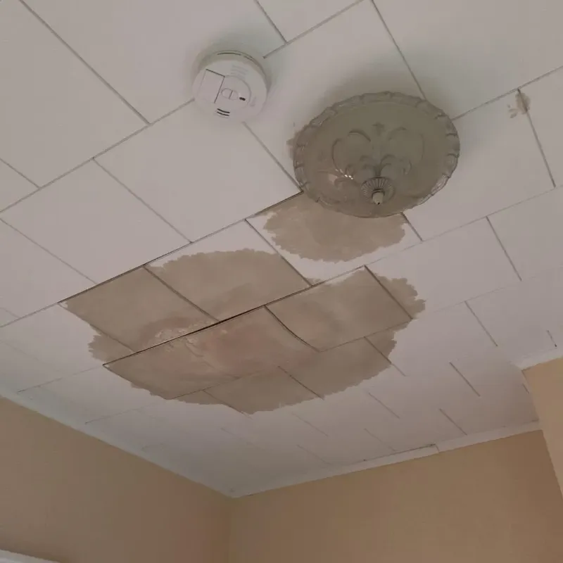 Ceiling Water Damage Repair in Sansom Park, TX