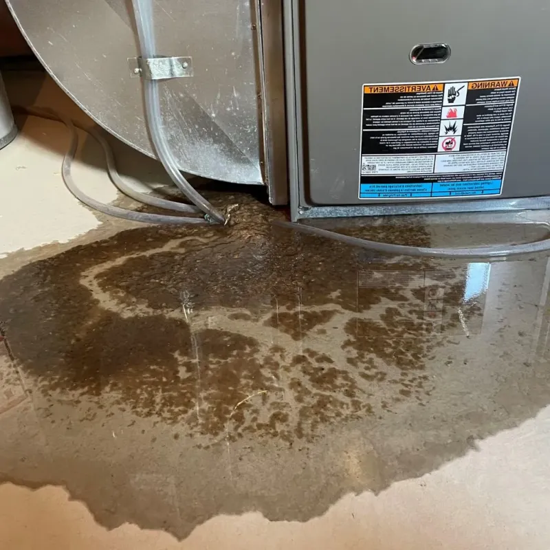 Pipe Burst and Leak Restoration in Sansom Park, TX