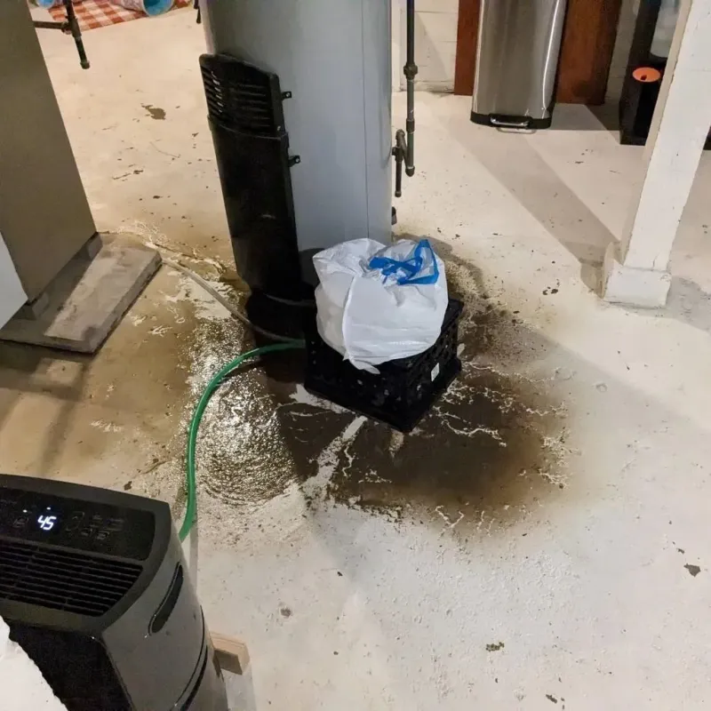 Sewage Backup Cleanup Service in Sansom Park, TX
